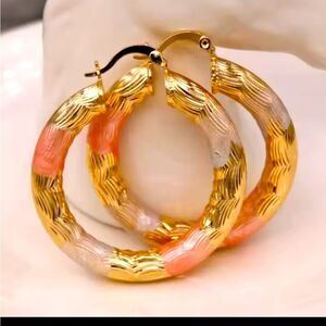 Elegant 14K  Gold Plated and Pink Hoop Earrings